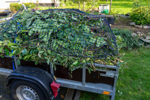 Best Moving and Downsizing Cleanouts  in Salem Lakes, WI